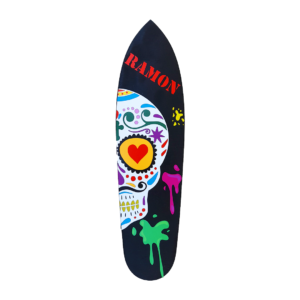 skateboard-ramon